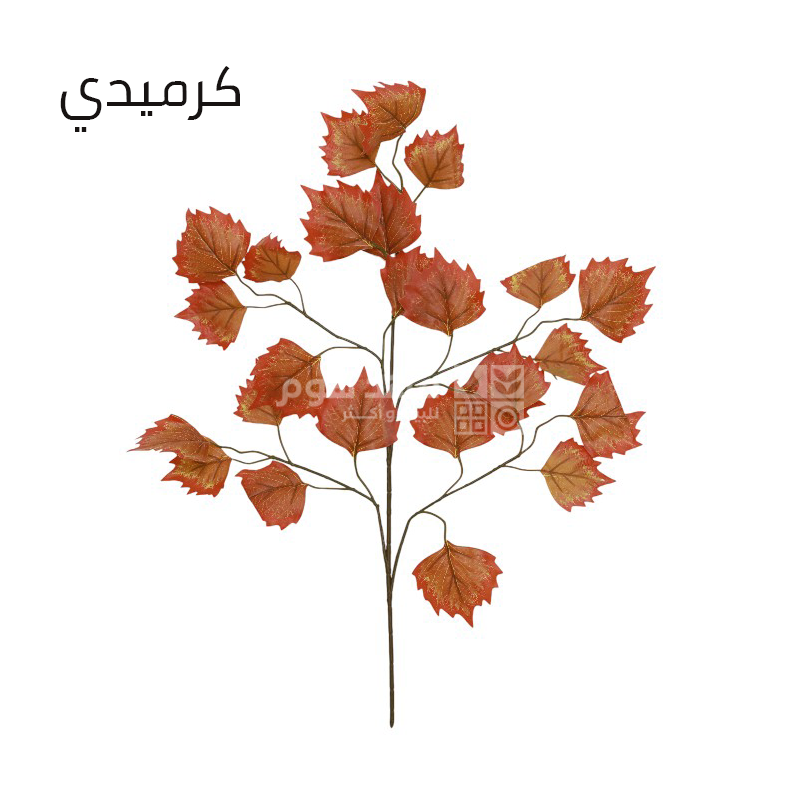 عرق خريفي 65سم