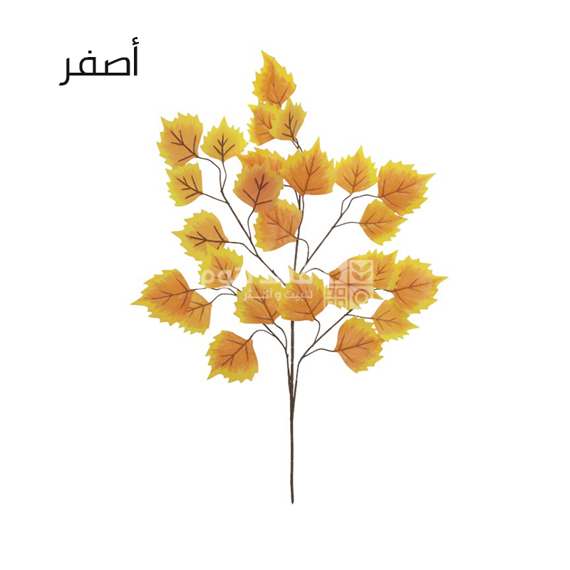 عرق خريفي 65سم