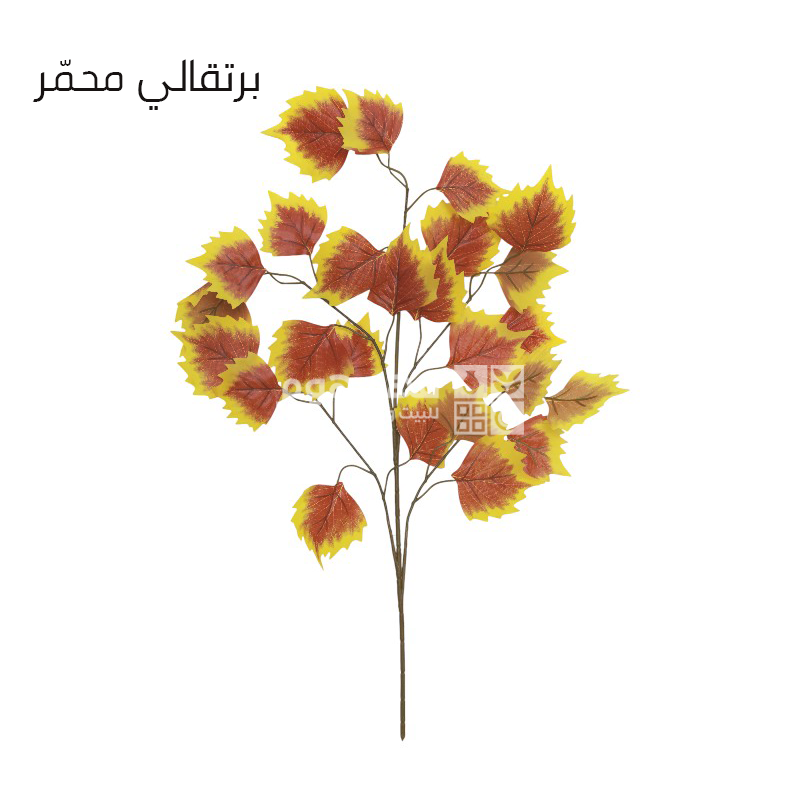عرق خريفي 65سم