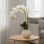 قوار ورد 60 سم LUNARIA WHITE