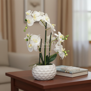 قوار ورد 60 سم GRACEFUL WHITE