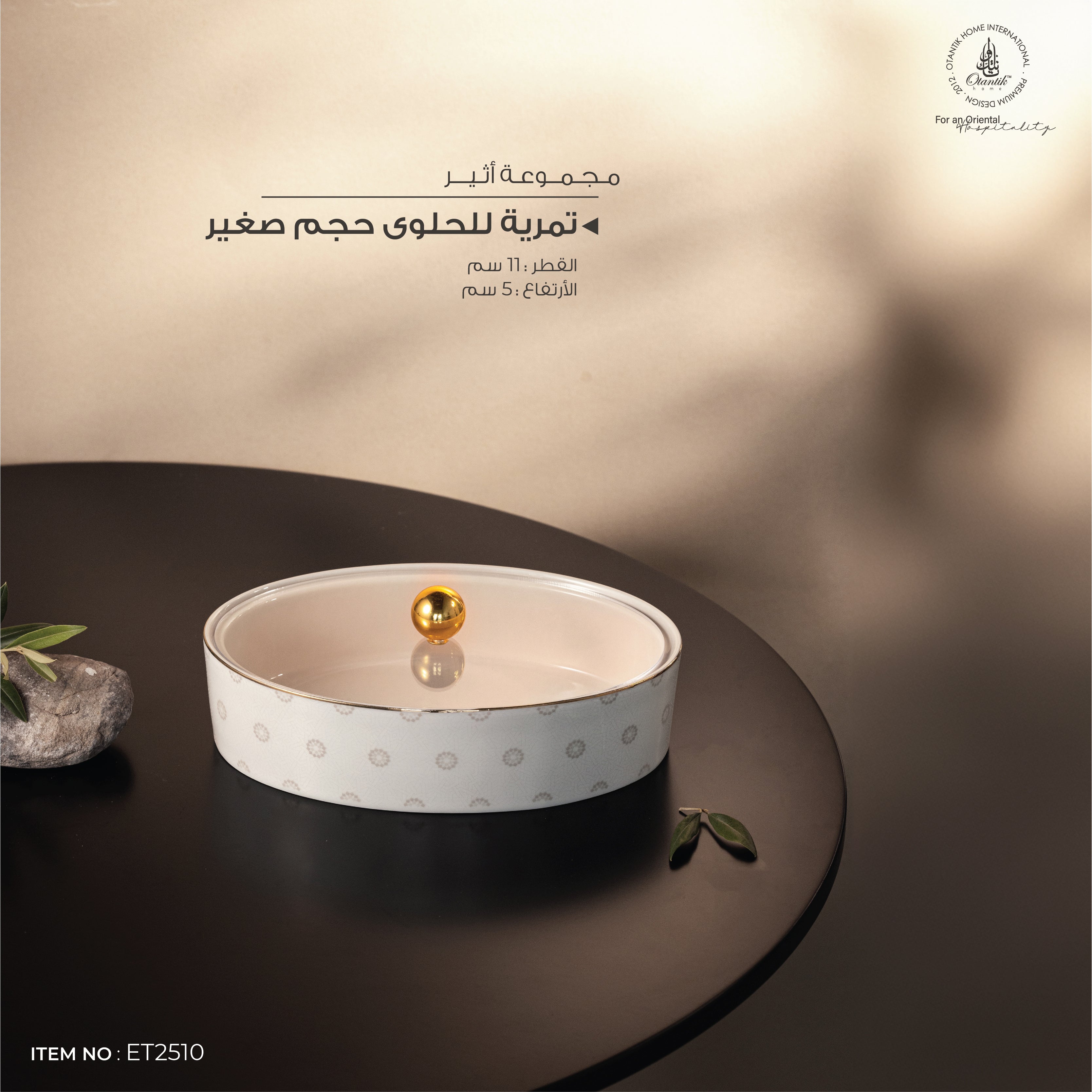 مضيفة صغير اثير 2510 بيج