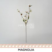 عرق 90 سم MAGNOLIA SINGLE STEM WHITE