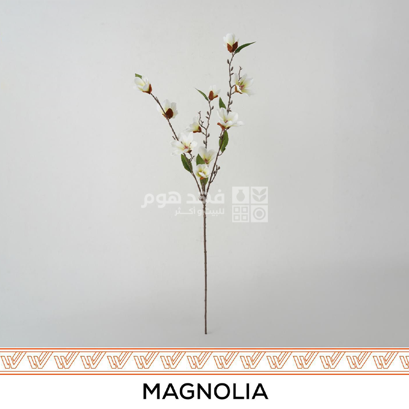 عرق 90 سم MAGNOLIA SINGLE STEM WHITE