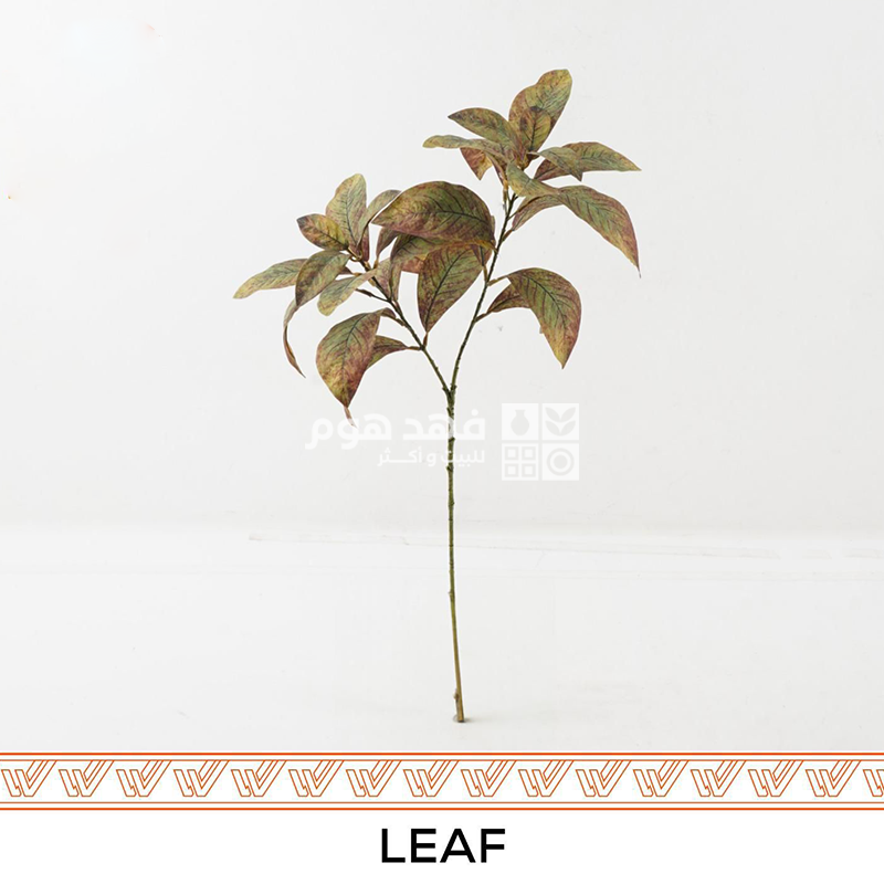 عرق 72 سم LEAF SINGLE ORANGE GREEN
