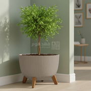 قوار بالعرض محزز ROMA 952 موكا