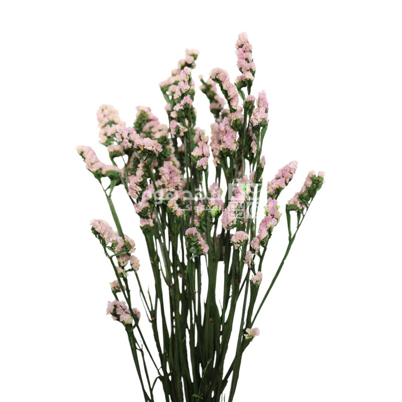 ضمة عروق مجفف ملون 65 سم x16\12