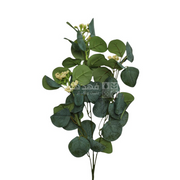 عرق زعتر وردة اصفر 60 سم