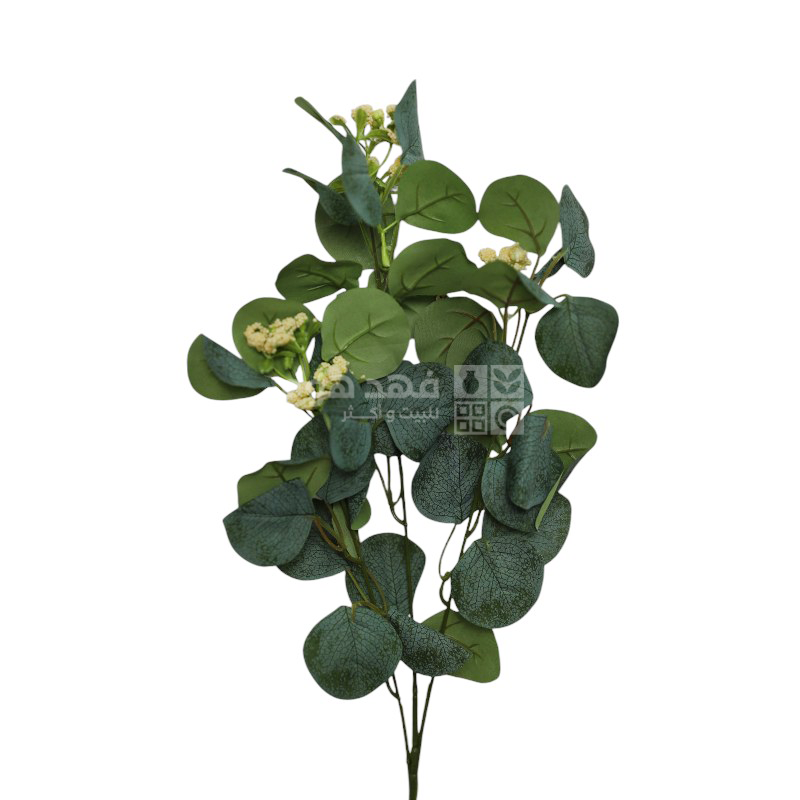 عرق زعتر وردة اصفر 60 سم