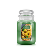 شمعة 737 غم CHARRED PINEAPPLE