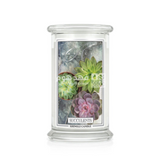 شمعة 624 غم SUCCULENTS