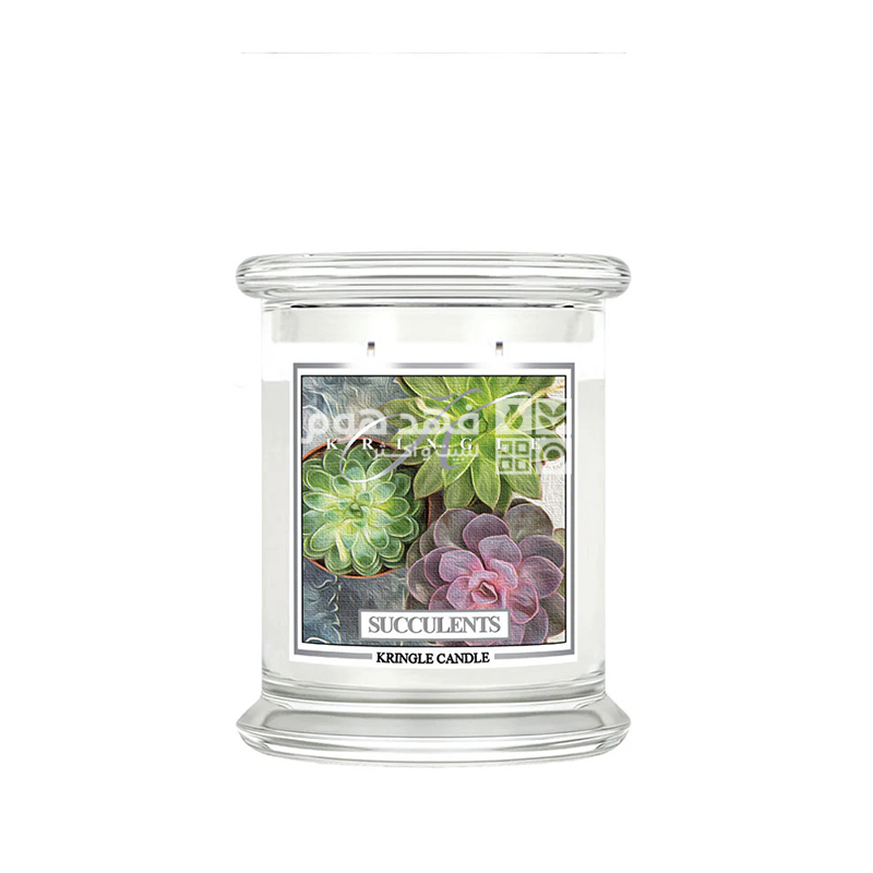 شمعة 414 غم SUCCULENTS