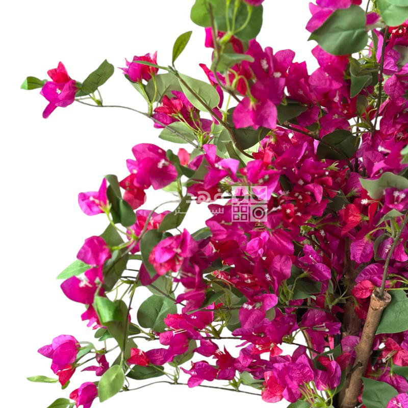 شجرة مجنونة 155 سم