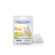 WAX MELTS SUN DRIED LINEN